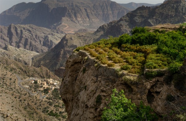 Al Jebel Al Akhdar Oman
